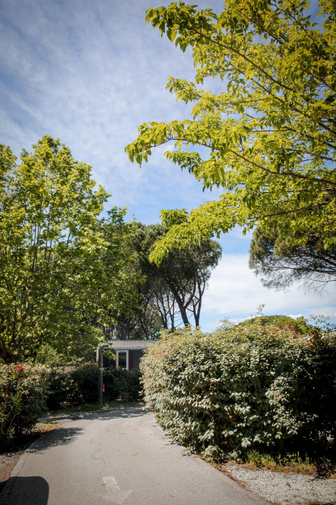 Domaine De Verdagne Gassin Eksteriør billede